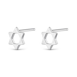 Rhodium-plated silver mini star earring with pressure...
