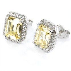 Claws Faceted Rectangular Zirconia Earring